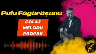 Puiu Făgărășanu ❌Colaj Melodii Proprii❌ [upl. by Rivy724]