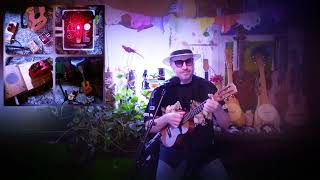 Weit weg  Hubert von Goisern Ukulele Cover Electro Harmonix String 9 Wild Dog Stomp Box [upl. by Novla]