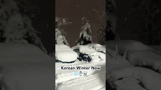 Record Breaking Snow in Korea in 117 years korea snow winter 눈 겨울 [upl. by Nnylekoorb424]