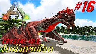 BGZ  ARK Crystal Isle EP16 จับมังกรเลือด Blood Crystal Wyvern [upl. by Maier]