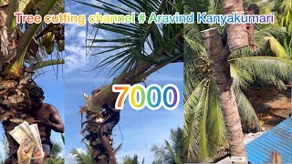 Tree cutting channel  trending channel Aravind kanyakumari 8248851253 [upl. by Meedan]