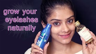 1 How To Grow Your Eyelashes Naturally  DIY Eyelashes Tutorial  Makeup  Foxy Makeup Tutorials [upl. by Aicirtan]