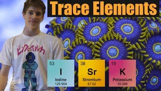 Minor Trace Elements Explained Iodide Strontium Potassium [upl. by Yevi842]