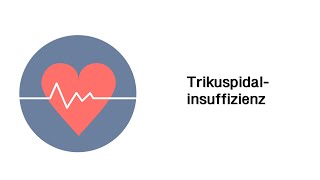 Trikuspidalinsuffizienz  Erkrankungen des Herzens mit Infoleiste [upl. by Joane576]