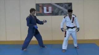 Lesson 1 Basic Position Atemi Fighting  JiuJitsu Fighting Lesson JJIF Basics Part 1 [upl. by Tamanaha]