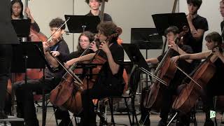 String Orchestra  Edward R Murrow High School [upl. by Nilkcaj]