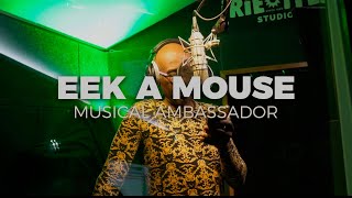 Eek A Mouse amp Irie Ites  Musical Ambassador  Murda Dem Riddim Official Video [upl. by Rennane887]