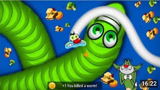 WormsZoneio Hard levelSnake kill dangerousWorms kill highest 234Snake gameplayWorms Rank 001 [upl. by Ulphiah461]