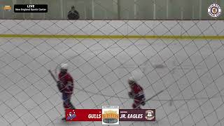 2024 Boston Fall Classic Long Island Gulls vs Boston Jr Eagles  October 5 [upl. by Yusem]