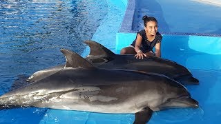 Dauphins ❤️ 🐬  Dolphin world🐬 agadir Une journée inoubliable ❤️❤️ 10 Aliae [upl. by Tully]