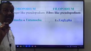 323Lobopodiaamp Filopodia JRsVSQUnitV Locomotion amp Reproduction [upl. by Stedman298]