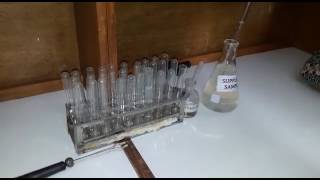 Heat coagulation test biochemistry ospe [upl. by Akimihs]