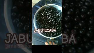 Jabuticaba receitas geleia jabuticaba [upl. by Thunell377]