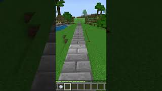 Minecraft chase [upl. by Naellij]