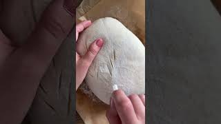 Scoring Sourdough Bread baking bread food sourdoughbread [upl. by Ahsiliw]