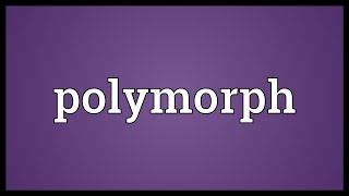 Polymorph Meaning [upl. by Norved]