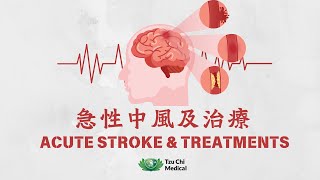 Acute Stroke amp Treatment  急性中風及治療 [upl. by Keslie]