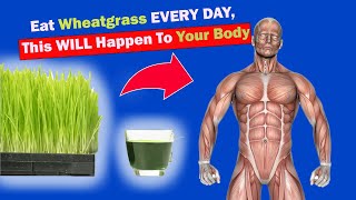 15 Amazing Wheatgrass Benefits That You Shouldnt IGNORE [upl. by Emlin990]