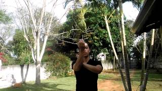 Vitor V  Zyzz Dance Tutorial BRAZIL [upl. by Liag]