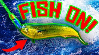 Do this NOW How to Catch fish off Key Largo  Islamorada catch and cook [upl. by Trevorr]