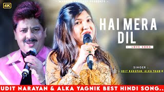 Hai Mera Dil Churake Le Gaya  Udit Narayan  Alka Yagnik  Best Hindi Song [upl. by Wagoner15]