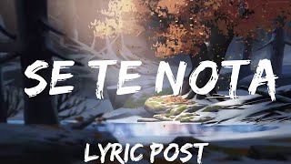 Lele Pons amp Guaynaa  Se Te Nota LetraLyrics  Music is for me [upl. by Rasmussen]