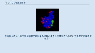 インスリン様成長因子1 [upl. by Marion]