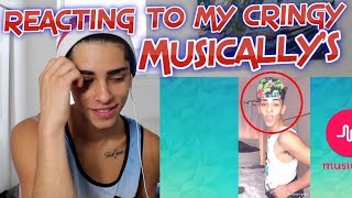 REACTING TO MY CRINGEY MUSICALY  Flamingeos [upl. by Hairehcaz504]