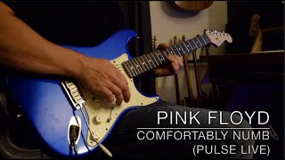 Pink Floyd  Comfortably Numb PULSE  Guitar Solo Cover [upl. by Pope]