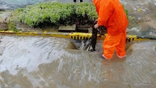 Urban Flooding Unclogging Drains and Restoring Order to the Streets [upl. by Zipnick646]