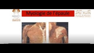 ANATOMIE FMPM MYOLOGIE DE L’ÉPAULE [upl. by Zacherie]