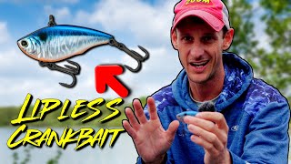 Lipless Crankbaits Are Underrated [upl. by Ahsitra409]