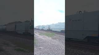 Up railcars with chrismiss drawing on it at Galveston sub railfan [upl. by Kristos]