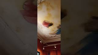 Mauritshuistravel amsterdamtouristartworkchannel youtubeshortsshortsvideoyoutuberyoutube [upl. by Eidassac875]