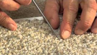 TCS  How to Repair Pulled Tufts in Berber Carpet [upl. by Birmingham]