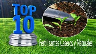 10 Fertilizantes Caseros y Naturales [upl. by Armanda]