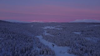 5 Simple amp Slow Life in a Scandinavian Countryside Cabin  Røros Roadtrip amp Market [upl. by Nilesoj]