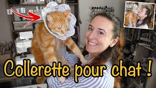 Tuto Je fais une collerette pour Weasley il est content [upl. by Ecerahs]