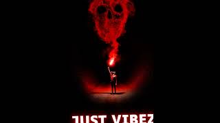 Just Vibez [upl. by Elime]