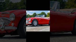 cars carlover austinhealey healey youtubeshorts shortsfeed shortvideo shorts vintagecars [upl. by Chemash]