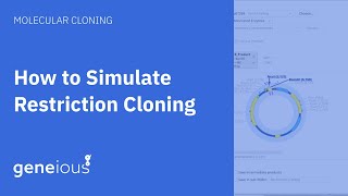 How To Simulate Restriction Cloning in Geneious Prime [upl. by Nidnal528]