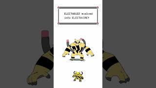 Electabuzz Evolves Into Elevtavire  Pokemon Evolution Animation [upl. by Avelin]