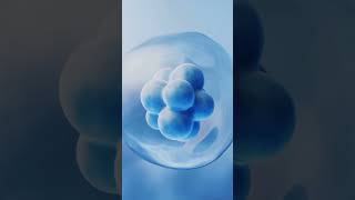 CRISPR The Future of NanoBiotechnology [upl. by Ecnaret]