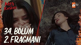 Ateş Kuşları 34 Bölüm 2 Fragman  quotHüma yaşayacak mıquot atvturkiye [upl. by Vani151]