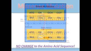 Substitution Mutations [upl. by Pessa502]