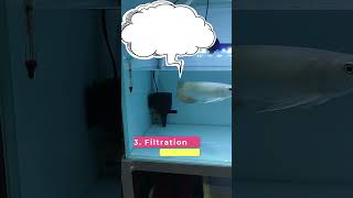 How To Maintain Aquarium Water  3 Simple Tips [upl. by Arrek]