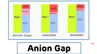 Anion Gap  Anion Gap For The Assessment of Metabolic Acidosis [upl. by Toomin]