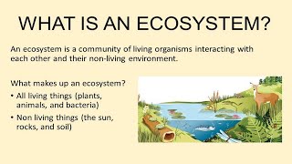 What is Ecosystem in Urdu  Hindi  Lecture no  34 [upl. by Riegel928]