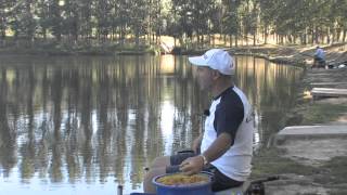 Italian Fishing TV  Colmic  Pesca allinglese con Jacopo Falsini [upl. by Elyad983]