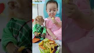 baby Bear and Titi monkey enjoy eating dried fruits and vegetables monkeybaby cute shortsvideo [upl. by Carmelle]